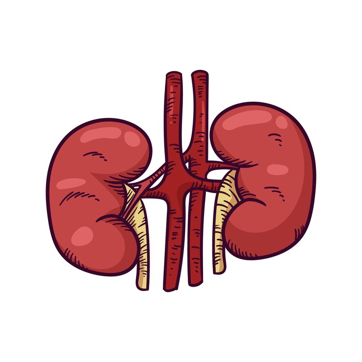 Effective Approaches to Managing Kidney Stones